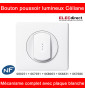 Legrand Céliane - Bouton poussoir à voyant lumineux complet blanc 1 poste - Réf : 080251 + 067031 + 068003 + 066631 + 067686