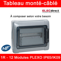 Legrand - Tableau Plexo monté-câblé : 1 rangée 12 modules - IP65/IK09 - DX³ - DNX³ - à composer