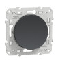 Schneider - Odace - Interrupteur va et vient - Anthracite - 10A - 250V - Bornes auto - Réf : S540204