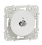 Schneider - Odace - Prise TV simple - Antenne - À vis - Blanc - Réf : S520445