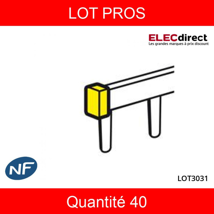 LEGRAND - LOT  - Capot d'extrémités pour peignes HX3 - Réf : 404989X40