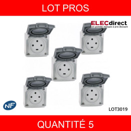 LEGRAND - LOT PROS - Plexo - Prise de courant 3P+T 20A - saillie - IP55/IK08 - 091656X5
