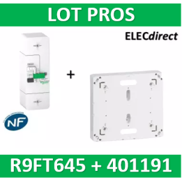 Disjoncteur de branchement EDF 15A/45A instantané + Platine Legrand - 500mA - bipolaire - R9FT645+401191