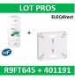 Disjoncteur de branchement EDF 15A/45A instantané + Platine Legrand - 500mA - bipolaire - R9FT645+401191
