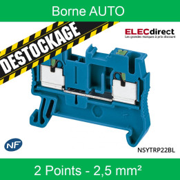 Schneider - Borne automatique - passant - 2 points - 2,5mm² - Bleu - Réf : NSYTRP22BL