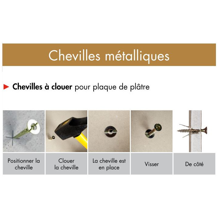 RAM - Cheville Gold avec VIS - Boîte de 100 - Réf : 900211