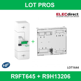 Schneider - Disjoncteur de branchement EDF 15/45A instantané + platine disjoncteur - R9FT645+R9H13206