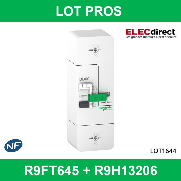 Schneider - Disjoncteur de branchement EDF 15/45A instantané + platine disjoncteur - R9FT645+R9H13206