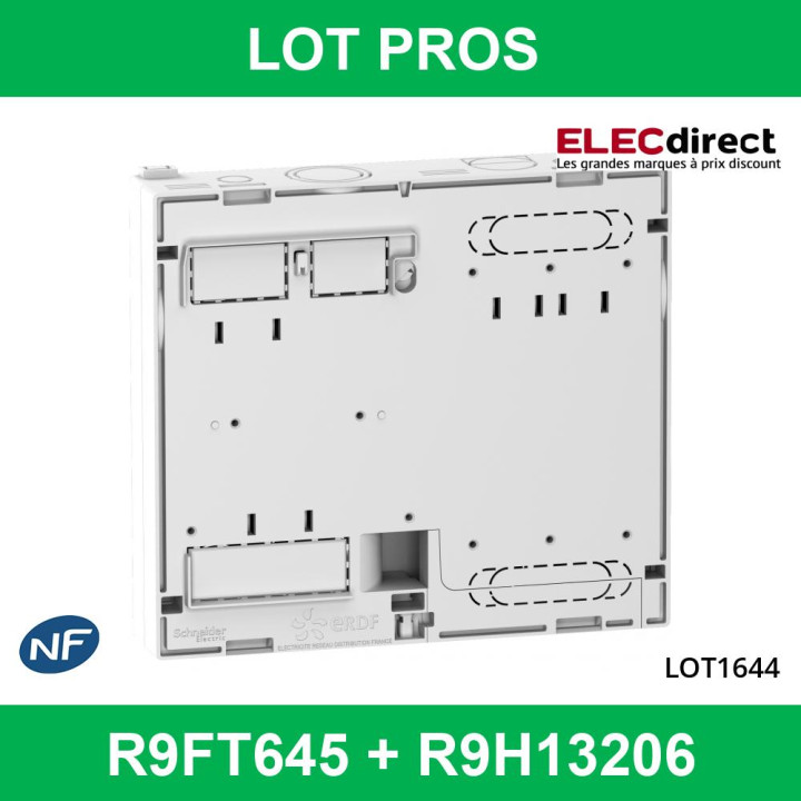 Schneider - Disjoncteur de branchement EDF 15/45A instantané + platine disjoncteur - R9FT645+R9H13206