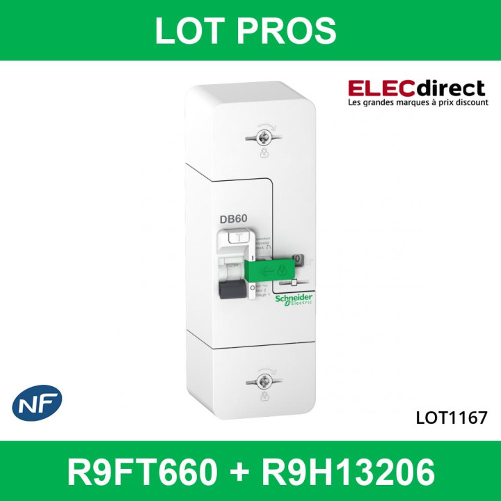 Disjoncteur de branchement EDF 60A instantané + Platine disjocnteur - 500mA - bipolaire - R9FT660+R9H13206