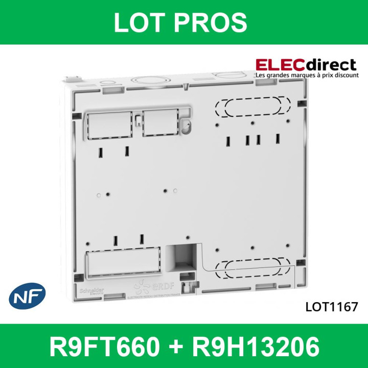 Disjoncteur de branchement EDF 60A instantané + Platine disjocnteur - 500mA - bipolaire - R9FT660+R9H13206
