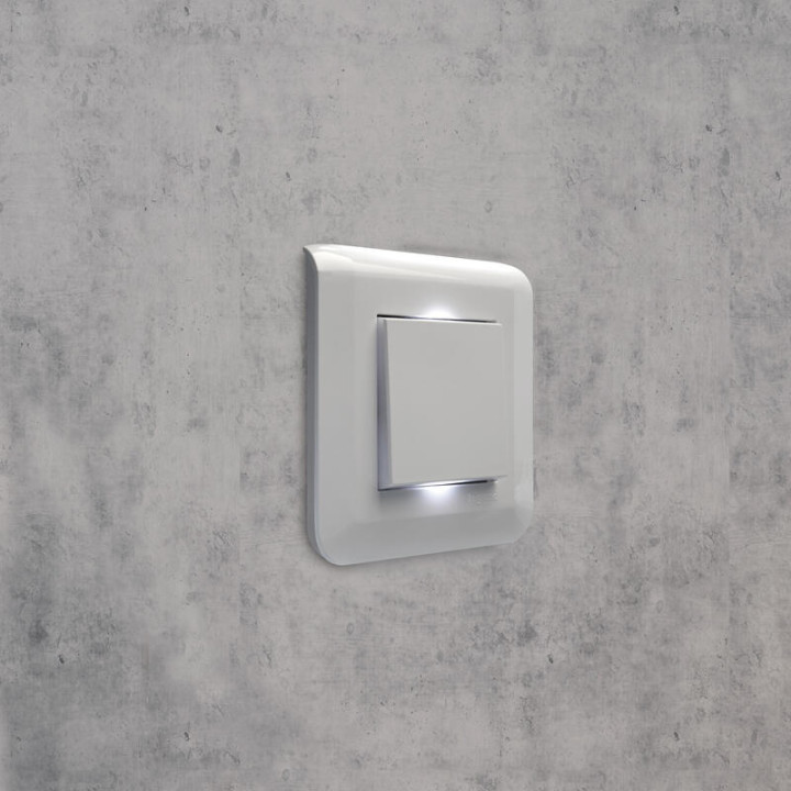 Legrand - Plaque de finition Mosaic 1 poste - 2 modules - Réf : 078802L
