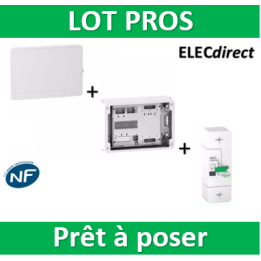 Schneider - Habillage + Porte + Platine  + disjoncteur instantané 60A 500mA - R9H18416+R9H18421+R9FT660