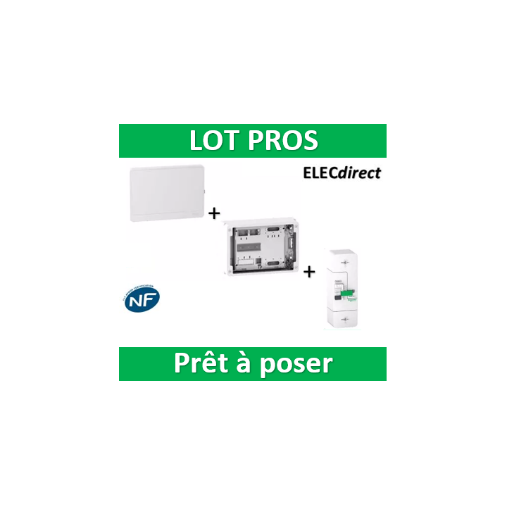 Schneider - Habillage + Porte + Platine  + disjoncteur instantané 60A 500mA - R9H18416+R9H18421+R9FT660