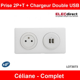 Legrand - Prise de courant 2P+T + Prise double USB Complet - 16A - Blanc - Réf : LOT3073