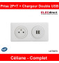 Legrand - Prise de courant 2P+T + Prise double USB Complet - 16A - Blanc - Réf : LOT3073