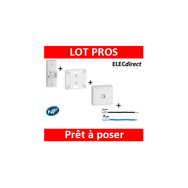Legrand - Disjoncteur de branchement EDF + platine + habillage + porte + embout Ph+N - 401051+401191+401185