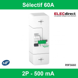 Schneider - Disjoncteur de branchement EDF 60A - Fixe - Sélectif - 500mA - Bipolaire - Réf.: R9FS660