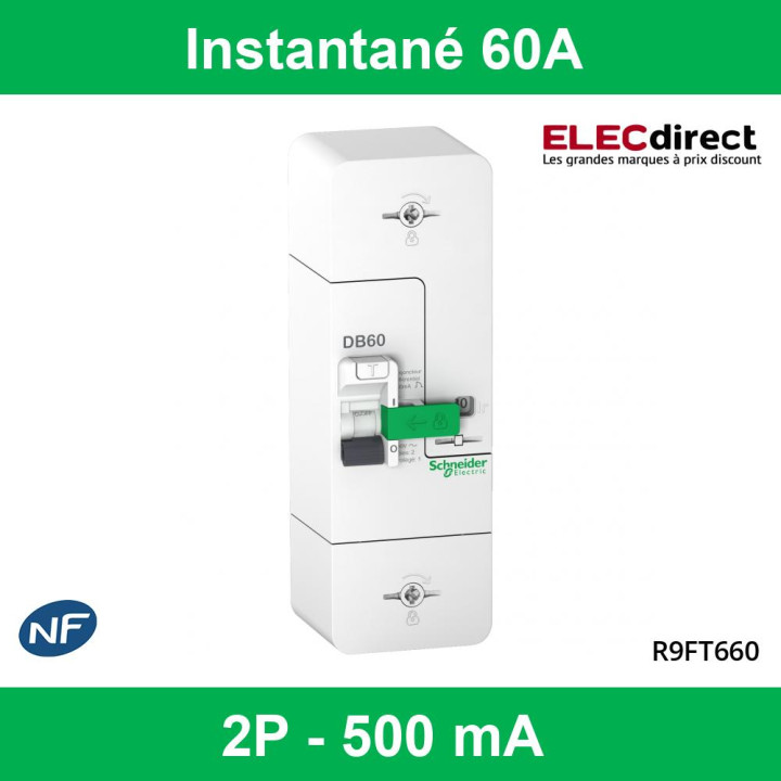 Schneider - Disjoncteur de branchement EDF 60A - Fixe - Instantané - 500mA - Bipolaire - Réf.: R9FT660