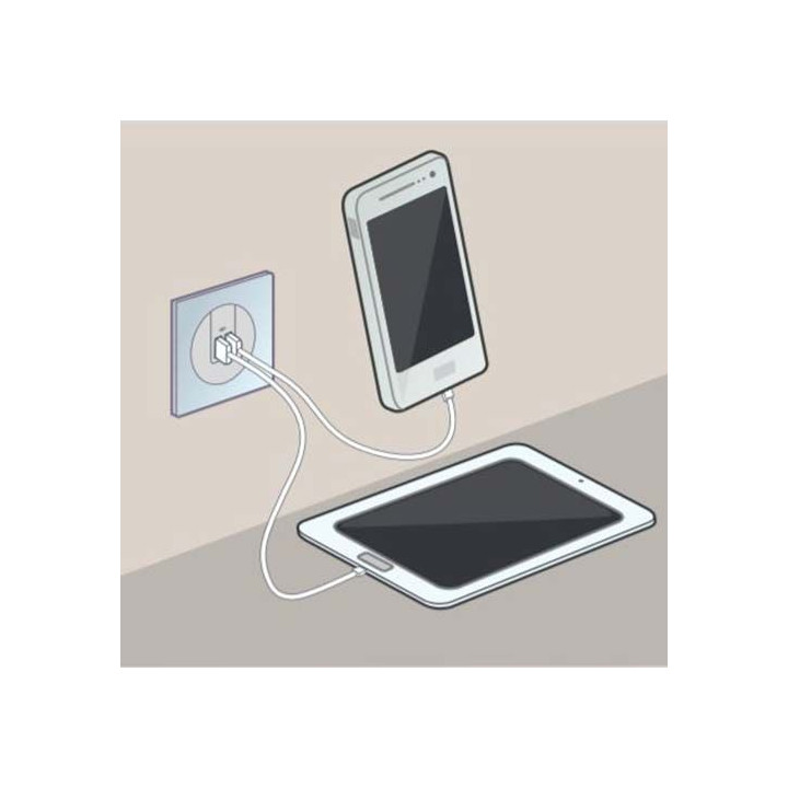 Legrand - Dooxie - Double chargeur USB Type-A - 2,4A - Finition Blanc - Réf : 600343