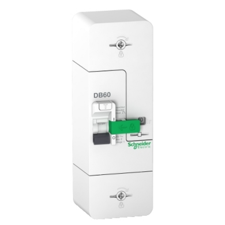 Schneider - Disjoncteur de branchement EDF 60A - Fixe - Sélectif - 500mA - Bipolaire - Réf.: R9FS660