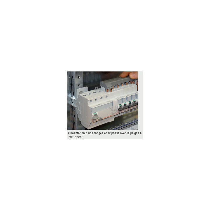 Legrand - Module de raccordement par peigne produit tête de groupe 4P - 406301