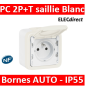 Legrand Plexo - Prise de courant 2P+T 16A 230V - IP55/IK07 - Blanc - 069689+069621