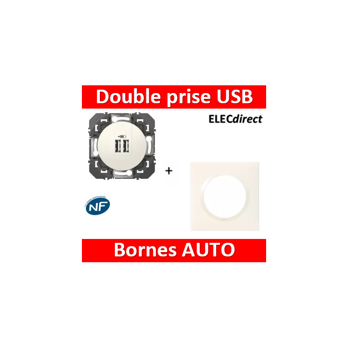 Legrand - Dooxie - LOT Double chargeur USB Type-A  2,4A finition + plaque blanche - Réf : 600343+600801