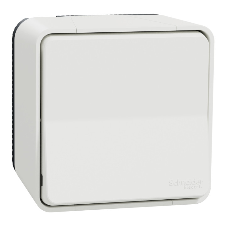Schneider - Mureva Styl - Va et vient - saillie - IP55 - IK08 - MUR39021 - connexion auto - blanc - MUR39021