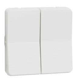 Schneider - Mureva Styl - Composable double va et vient en saillie ou encastré  - IP55 - IK08 - connex. auto - blanc - MUR39022