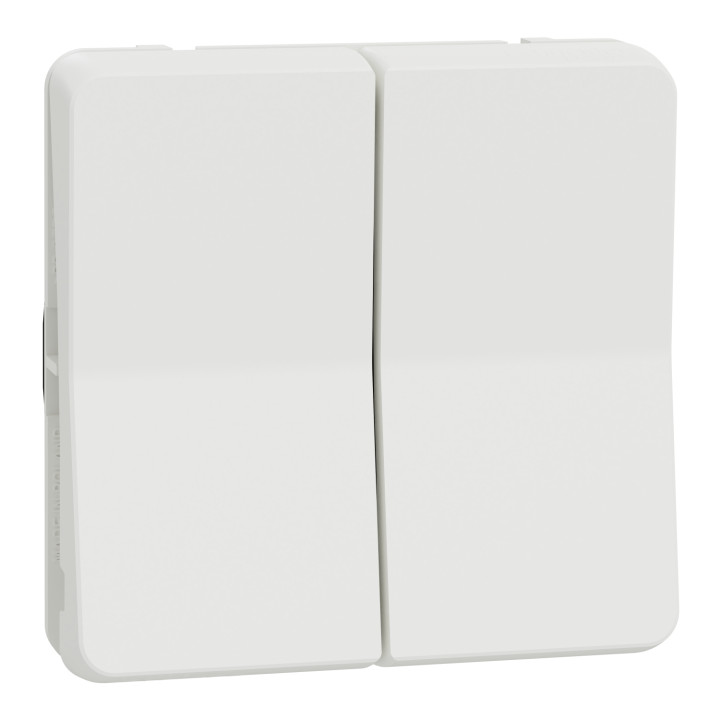 Schneider - Mureva Styl - Composable double va et vient en saillie ou encastré  - IP55 - IK08 - connex. auto - blanc - MUR39022