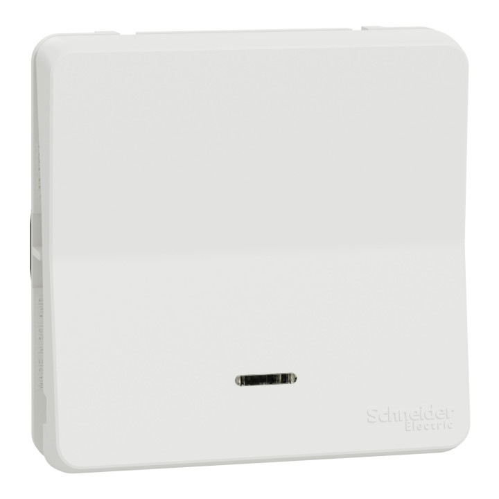 Schneider - Mureva Styl - Composable va et vient lumineux - saillie ou encastré  - IP55 - IK08 - connex. auto - blanc - MUR39024