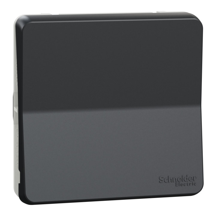 Schneider - Mureva Styl - Composable bouton poussoir en saillie ou encastré  - IP55 - IK08 - connexion auto - gris - MUR35027