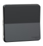 Schneider - Mureva Styl - Composable bouton poussoir en saillie ou encastré  - IP55 - IK08 - connexion auto - gris - MUR35027