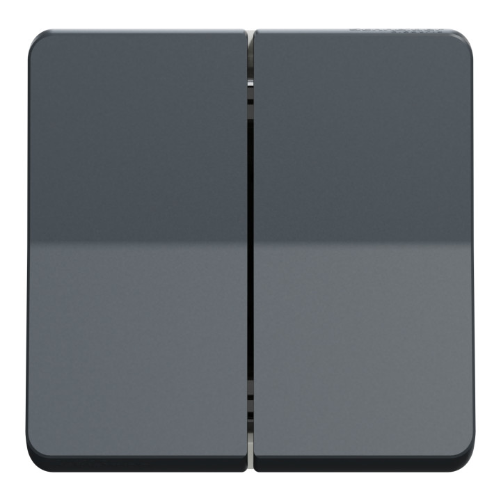 Schneider - Mureva Styl - Composable double va et vient en saillie ou encastré  - IP55 - IK08 - connexion auto - gris - MUR35019