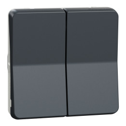 Schneider - Mureva Styl - Composable double va et vient en saillie ou encastré  - IP55 - IK08 - connexion auto - gris - MUR35019
