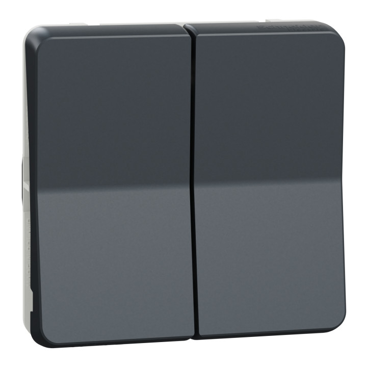Schneider - Mureva Styl - Composable double va et vient en saillie ou encastré  - IP55 - IK08 - connexion auto - gris - MUR35019