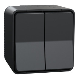 Schneider - Mureva Styl - Double va et vient - saillie - IP55 - IK08 - connexion auto - gris - MUR35022