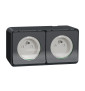 Schneider - Mureva Styl - Double prise 2P+T précâblée horizontale - saillie - IP55 - IK08 - connexion auto - gris - MUR36028