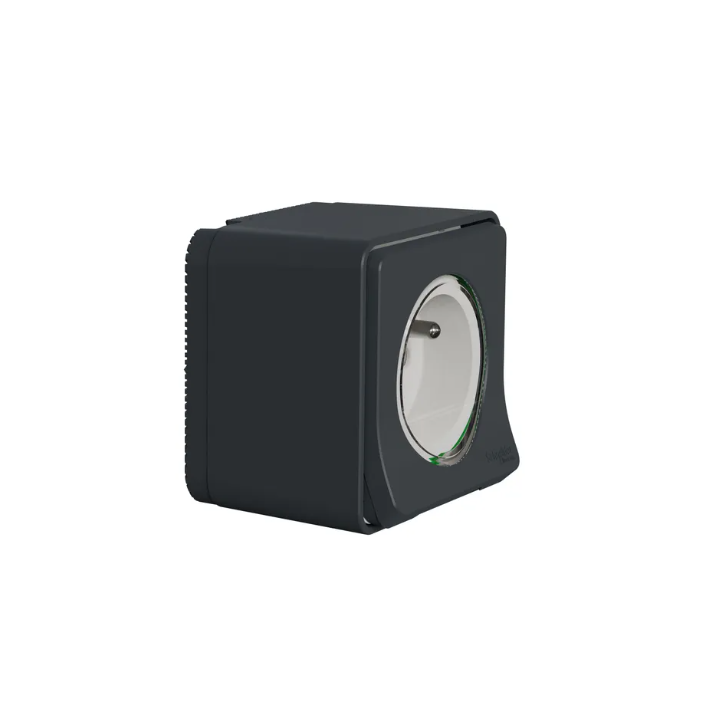 Schneider - Mureva Styl - Prise courant 2P+T - saillie - IP55 - IK08 - connexion à vis - gris - MUR36030