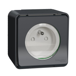 Schneider - Mureva Styl - Prise courant 2P+T - saillie - IP55 - IK08 - connexion à vis - gris - MUR36030