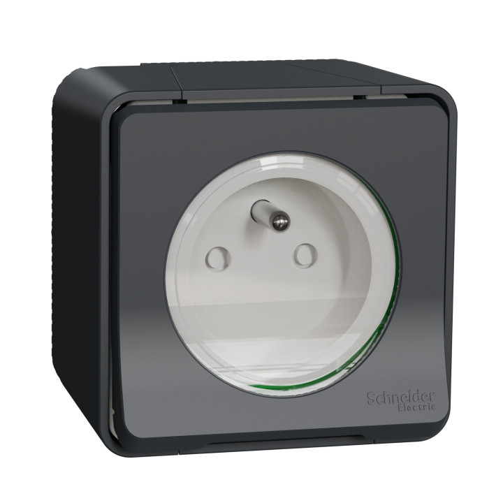 Schneider - Mureva Styl - Prise courant 2P+T - saillie - IP55 - IK08 - connexion à vis - gris - MUR36030