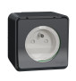 Schneider - Mureva Styl - Prise courant 2P+T - saillie - IP55 - IK08 - connexion à vis - gris - MUR36030