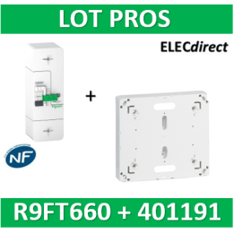 Disjoncteur de branchement EDF 60A instantané + Platine Legrand - 500mA - bipolaire - R9FT660+401191