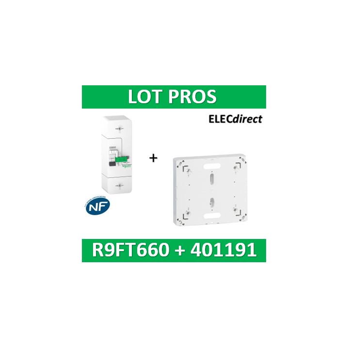 Disjoncteur de branchement EDF 60A instantané + Platine Legrand - 500mA - bipolaire - R9FT660+401191