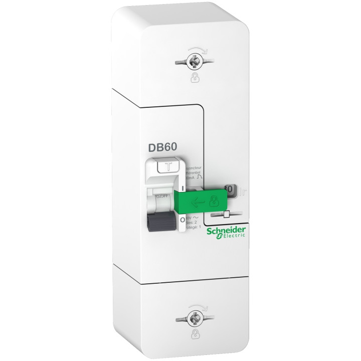 Schneider - Disjoncteur de branchement EDF 15/30/45A instantané - 500mA - bipolaire - Réf : R9FT645