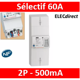 Legrand - Disjoncteur de branchement EDF 60A sélectif - non réglable - 500mA - bipolaire - Réf.: 401006