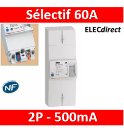 Legrand - Disjoncteur de branchement EDF 60A sélectif - non réglable - 500mA - bipolaire - Réf : 401006