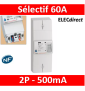 Legrand - Disjoncteur de branchement EDF 60A sélectif - non réglable - 500mA - bipolaire - Réf : 401006