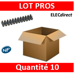 Legrand - Barrette de connexion Nylbloc - Bornier 12 pôles 6 mm2 à vis - 034213x10